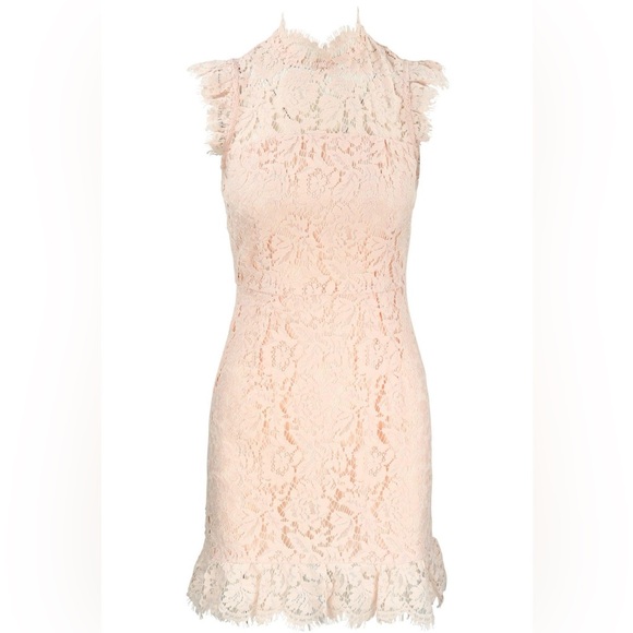 Revolve Aijek eyelash pink lace mini dress keyhole back - Picture 9 of 16
